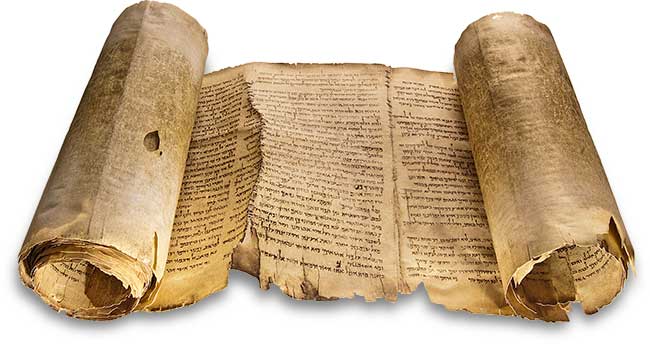 Facsimile of a complete Dead Sea scroll, however not the Book of Enoch, but the "Isaiah Scroll."