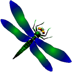 Nya vingar, ny v&auml;rld