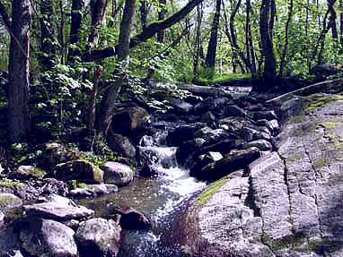 Forsen vid Mariag&aring;rden, Stenungs&aring;n. Foto: LL
