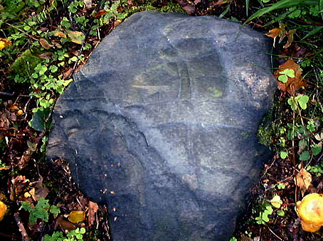 Ingen vanlig gr&aring;sten precis...