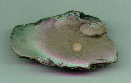 Flintsten med v&auml;xtinneh&aring;ll