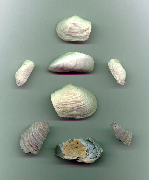 Sn&auml;cksamling funnen p&aring; bergstopp